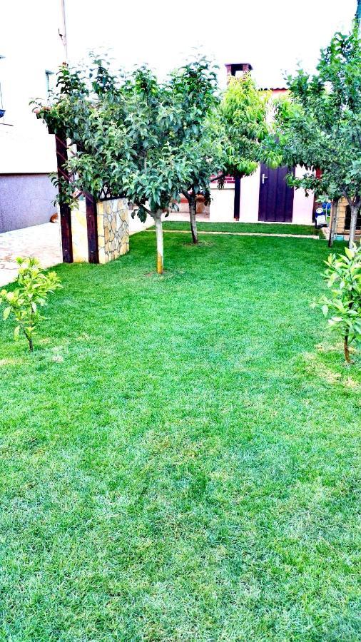 Tena Apartmán Zadar